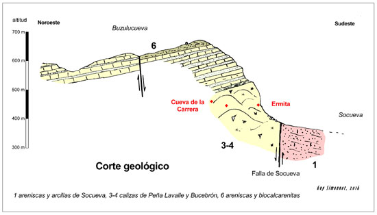 coupegeol